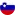Slovenia flag